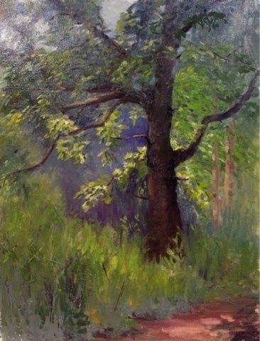 366x480 Morning Light, Painting By Artist Judith Anderson Art~painting - Morning Light Painting
