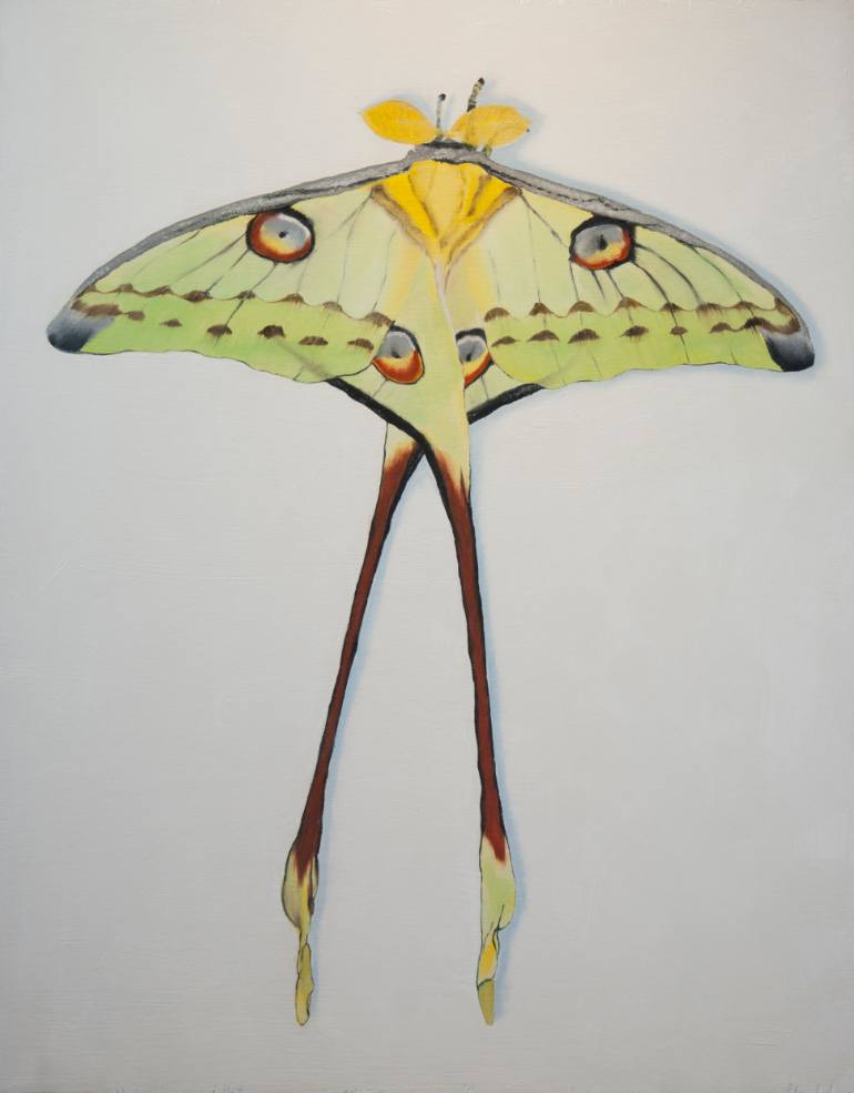 770x985 Saatchi Art Madagascar Moon Moth Painting By Steven Curtis - Moth Painting