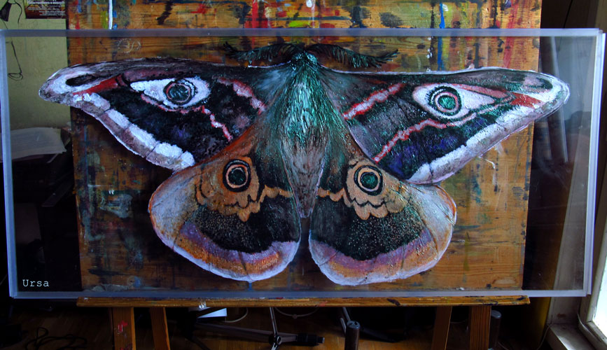 867x500 Small Emperor Moth Painting By Obman Veschestv - Moth Painting