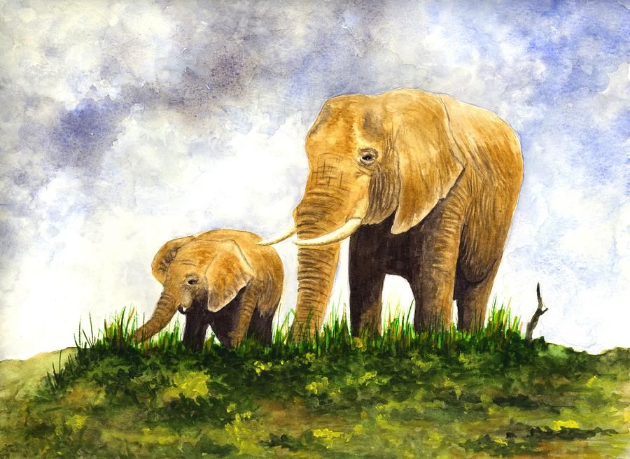 900x656 Elephants - Mother And Baby Elephant Painting
