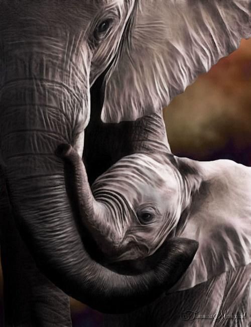500x651 Elephant Mom Baby Lt3 - Mother And Baby Elephant Painting
