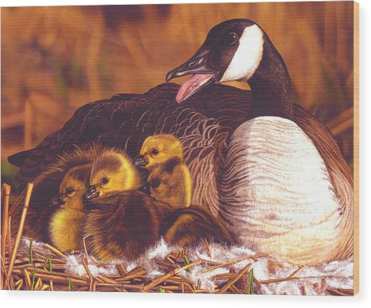 536x444 Mother Goose Painting By Kelly Harvey - Mother Goose Painting