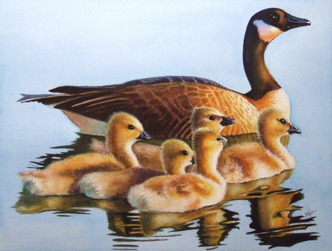 1059x800 Waterbird Paintings - Mother Goose Painting