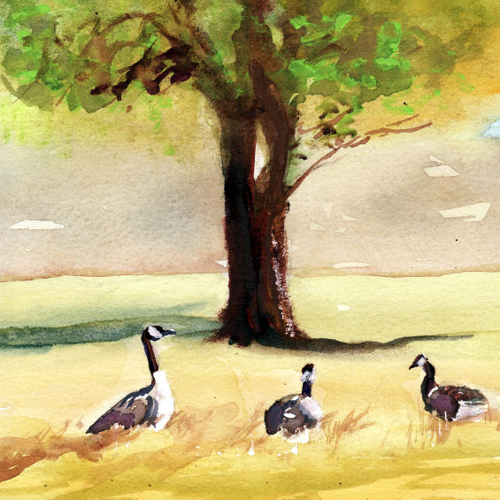 565x565 Diana Lynn's Painting A Day Mother Goose - Mother Goose Painting