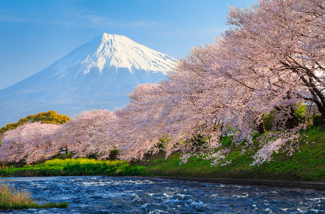640x422 Wholesale Painting - Mount Fuji Painting