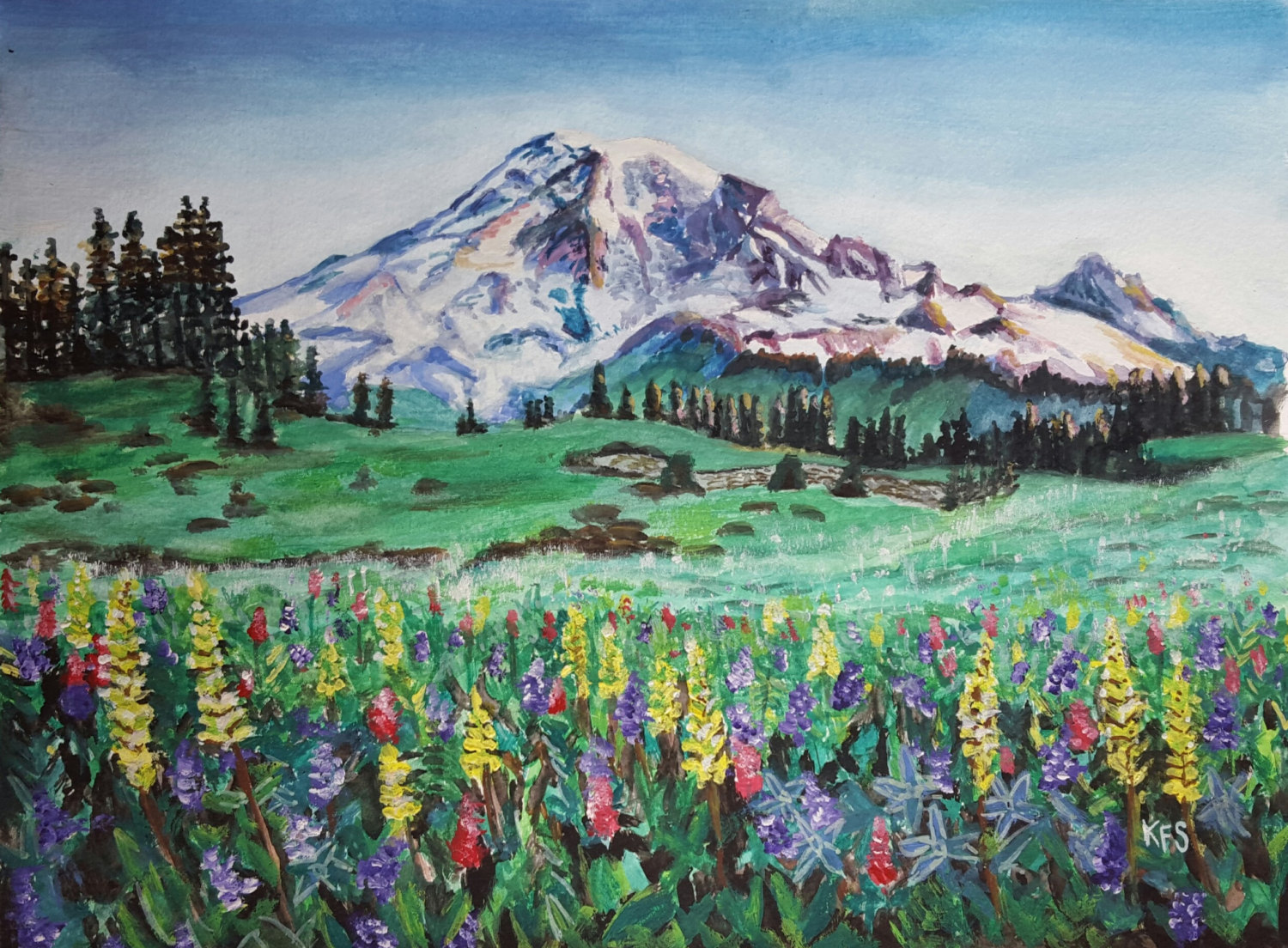 1500x1104 Mount Rainier Watercolor Print Wildflowers Of Mazama Ridge - Mount Rainier Painting