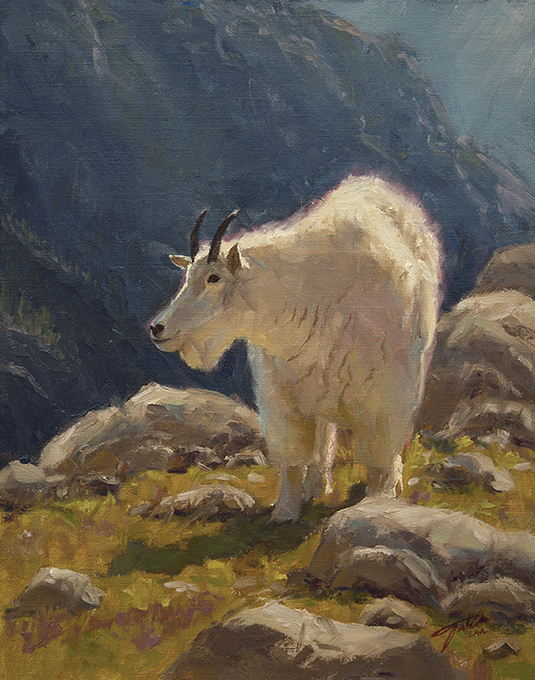 535x680 Landscapewildlifepleinairimpressionismrealismwesternart - Mountain Goat Painting