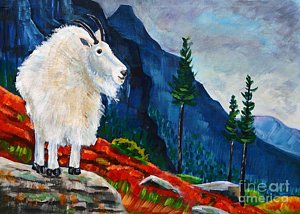 300x214 Mountain Goat Country Painting By Harriet Peck Taylor - Mountain Goat Painting
