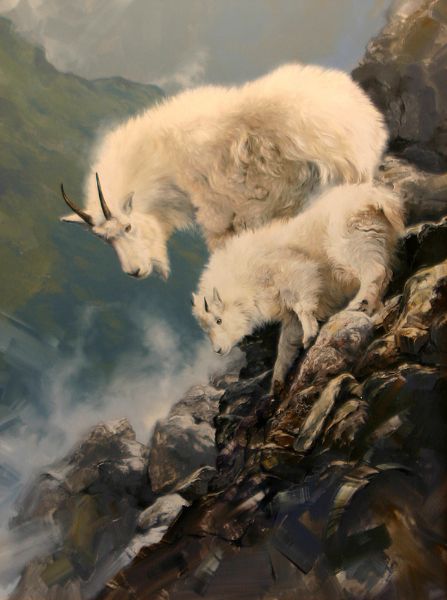 447x600 Mountain Goat Painting By Mark Kelso Horizon Fine Art Gallery - Mountain Goat Painting