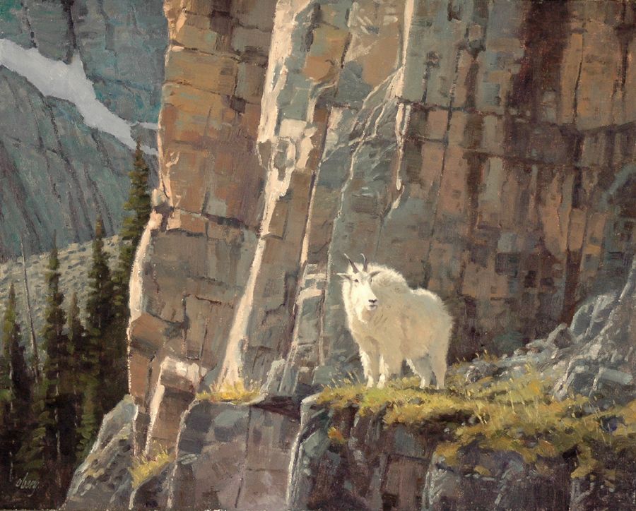 900x724 Mountain Goat Painting By Ralph Oberg Art - Mountain Goat Painting