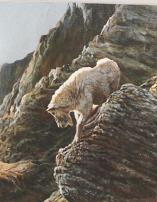 546x701 Rocky Mountain Goat Painting By Steve Greco - Mountain Goat Painting