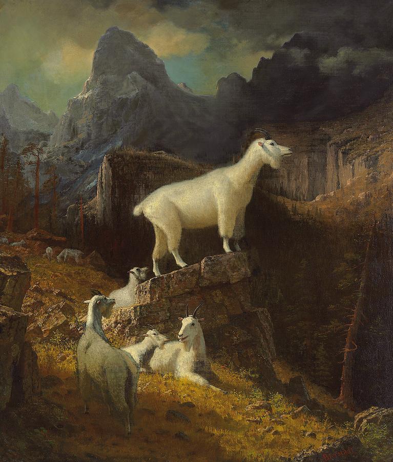 767x900 Rocky Mountain Goats Painting By Albert Bierstadt - Mountain Goat Painting