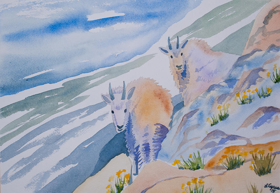 900x621 Watercolor - Mountain Goat Painting