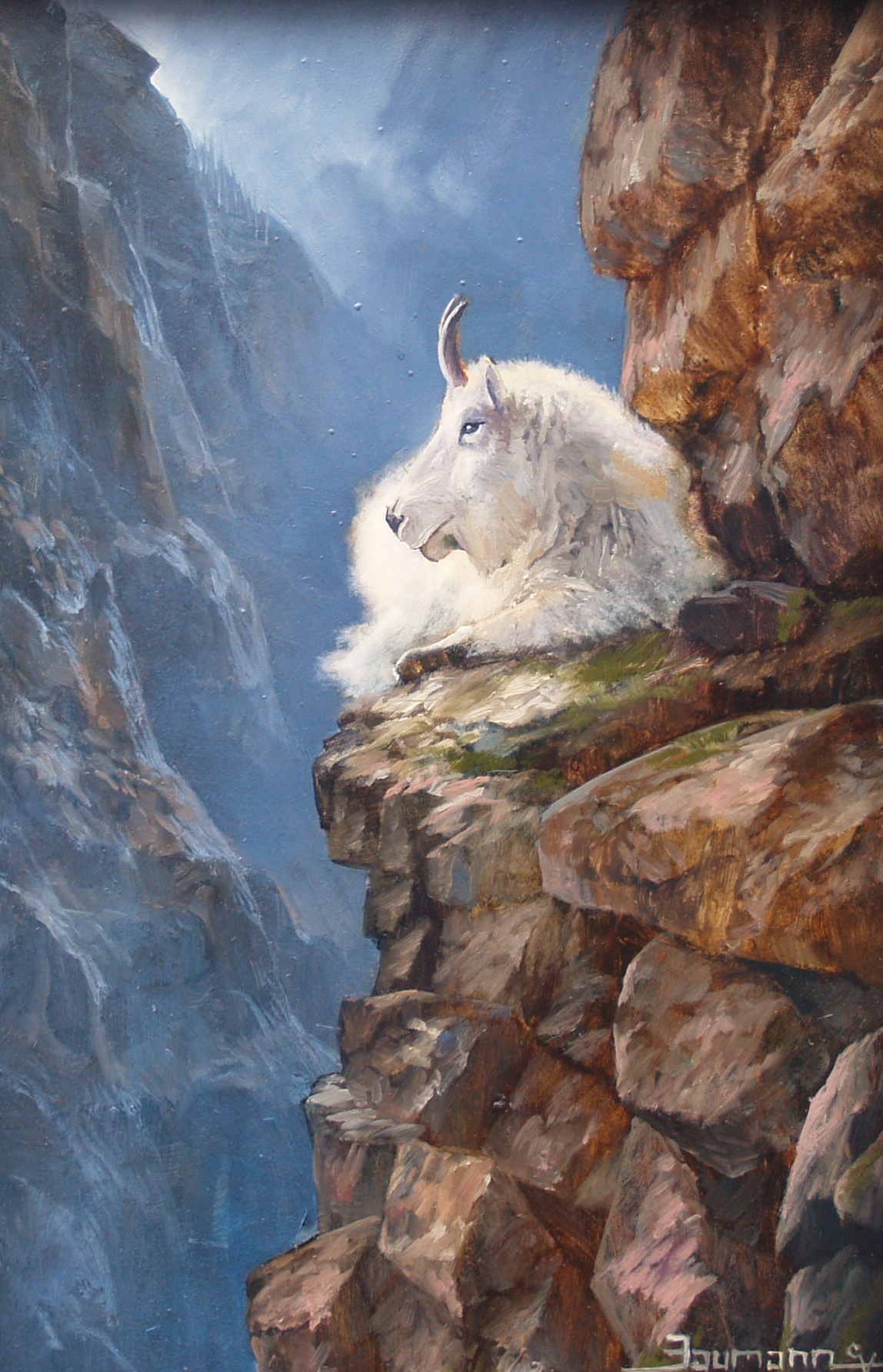 1148x1783 Wildlife Paintings By Stefan Baumann - Mountain Goat Painting