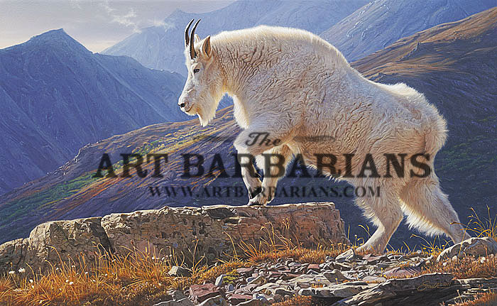 700x431 Wildlife Art Prints Plus Original Paintings With A Wide Selection - Mountain Goat Painting