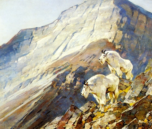 500x426 Art Prints Of Mountain Goats By Carl Rungius - Mountain Goat Painting