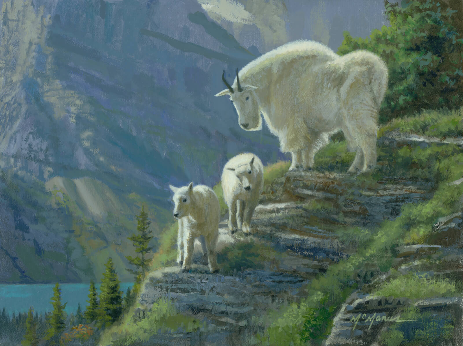 1600x1199 Behind The Wildlife Paintings Of Pat Mcmanus - Mountain Goat Painting
