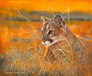 366x305 Mountain Lion - Mountain Lion Painting