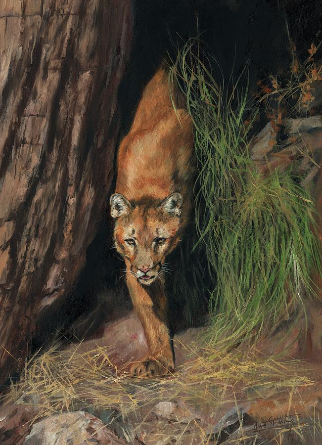 651x900 Mountain Lion Emerging From Shadows Painting By David Stribbling - Mountain Lion Painting
