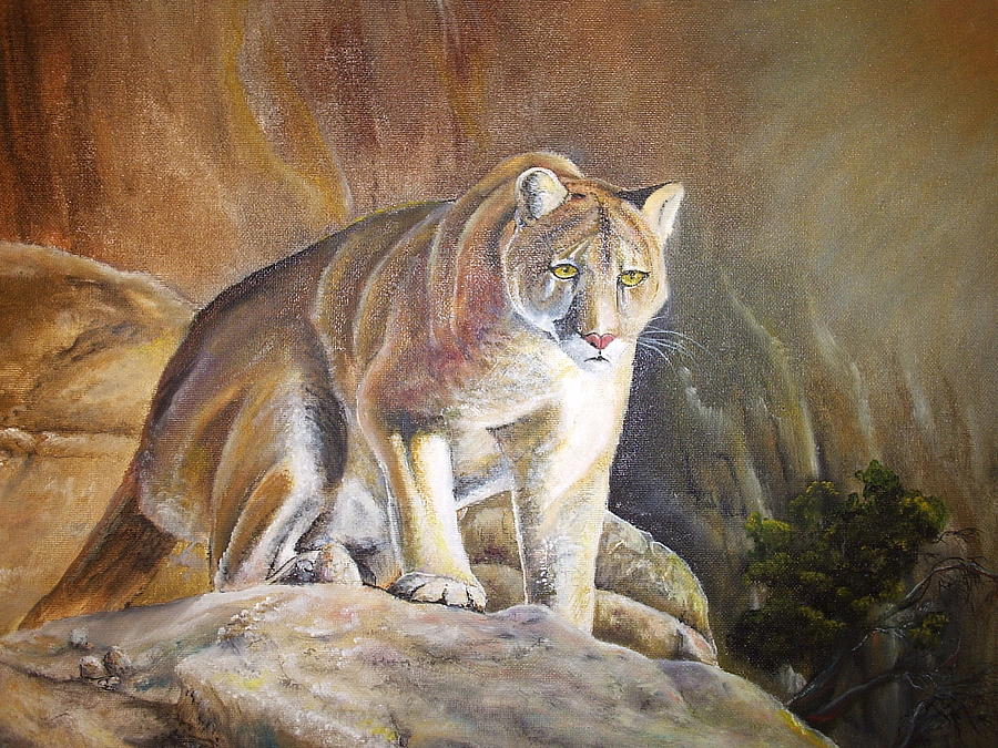 900x675 Mountain Lion Painting By Bryan Davis - Mountain Lion Painting