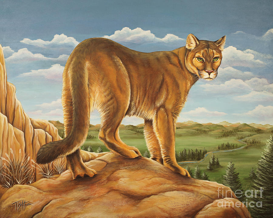 900x719 Mountain Lion Painting By Tish Wynne - Mountain Lion Painting