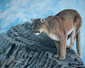 300x239 Wildlife Art Paintings - Mountain Lion Painting
