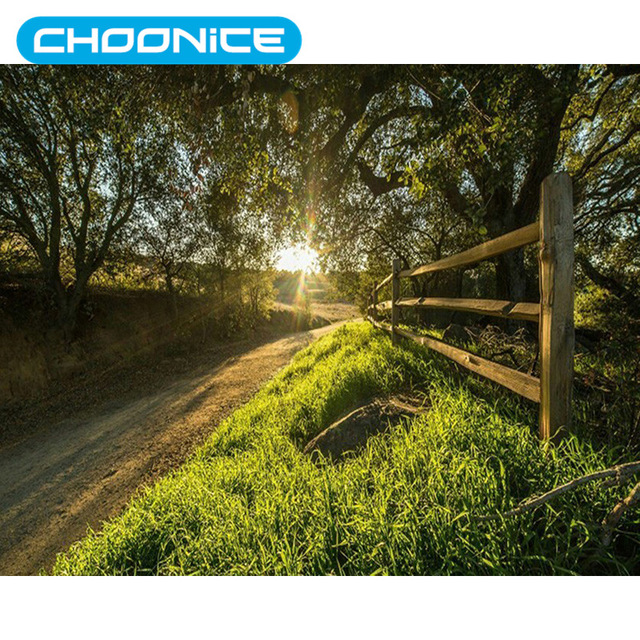 640x640 Mountain Scenery Diamond Painting Forest Path Sunset Sunshine Diy - Mountain Scenery Painting