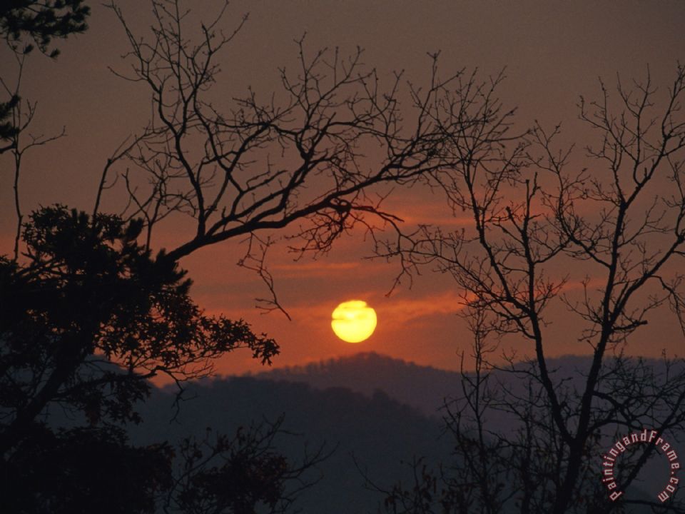 960x720 Raymond Gehman Sunrise Over Mountains Viewed Through An Oak Forest - Mountain Sunrise Painting
