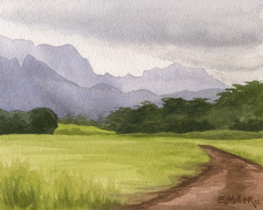 530x424 Afternoon Mountains, Lihue - Mountain Watercolor Painting
