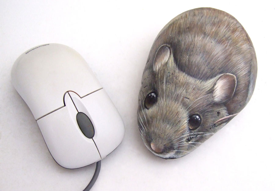900x625 Mouse, Paint On Stone By Roberto Rizzo - Mouse Painting