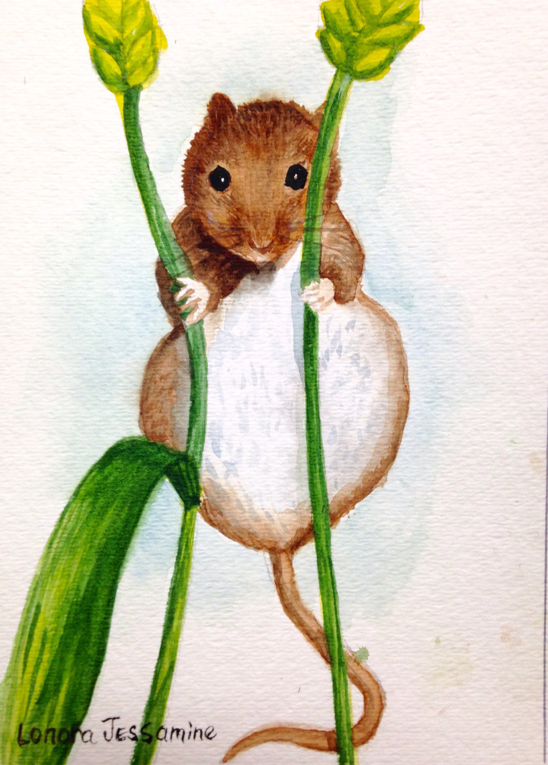 1075x1500 Original Field Mouse Watercolor Painting, Mouse Painting, Wall Art - Mouse Painting