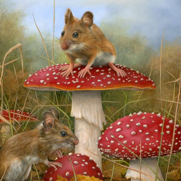 600x600 Wildlife Paintings By Carl Whitfield Art And Design - Mouse Painting