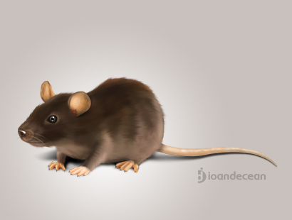 410x310 Mouse - Mouse Painting