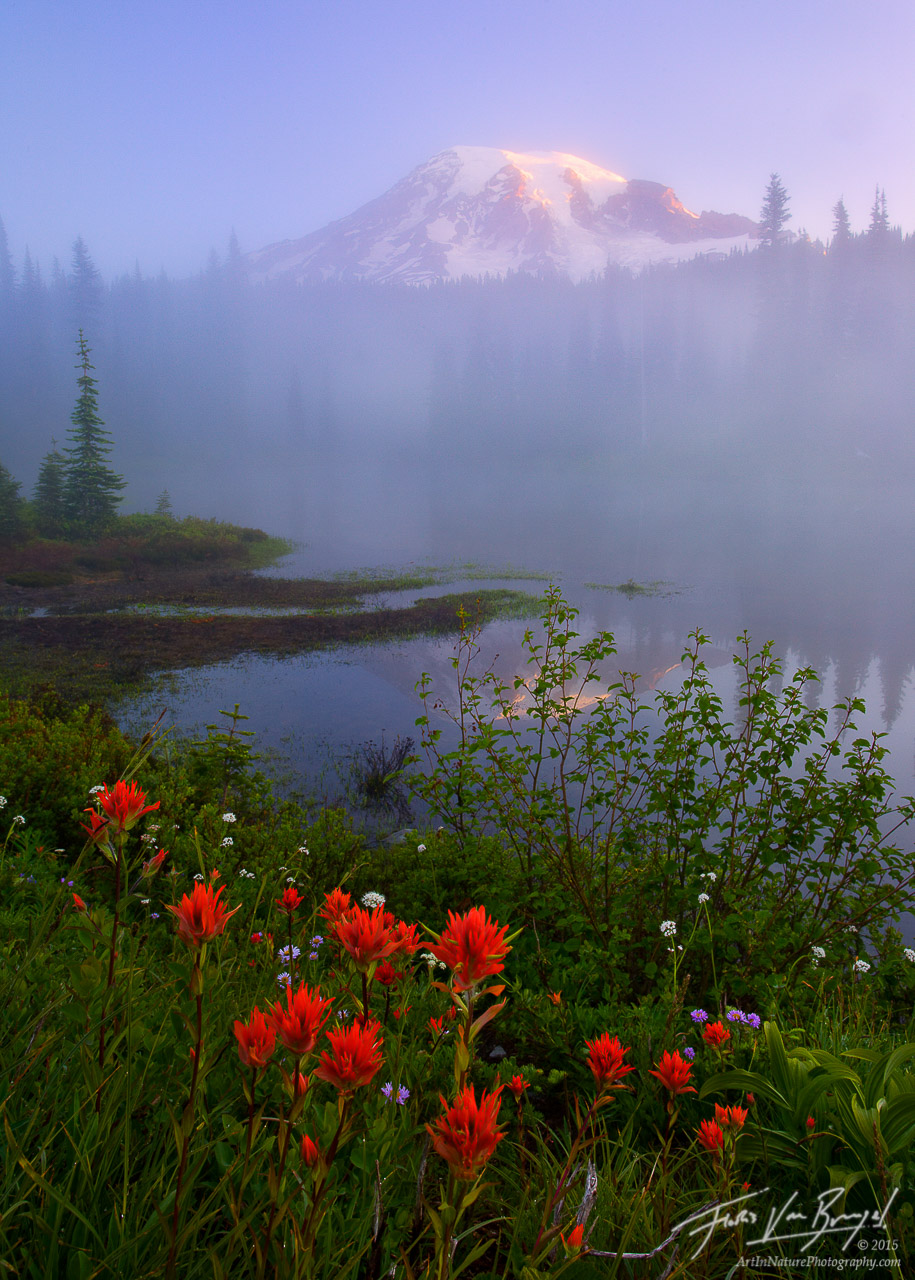915x1280 Painting The Mountains Mystery Mt. Rainier Np, Wa Art - Mt Rainier Painting