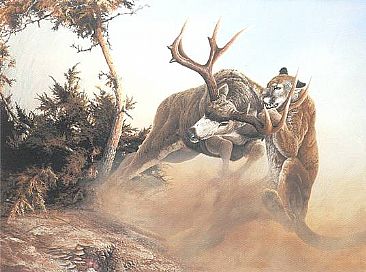 366x272 Mountain Lion And Mule Deer - Mule Deer Painting