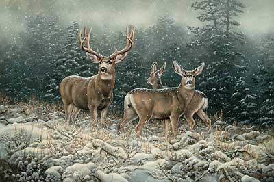 400x266 Mule Deer Art Wild Wings - Mule Deer Painting