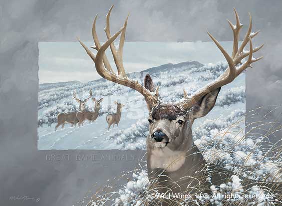 565x413 Mule Deer Original Oil Painting Wild Wings - Mule Deer Painting