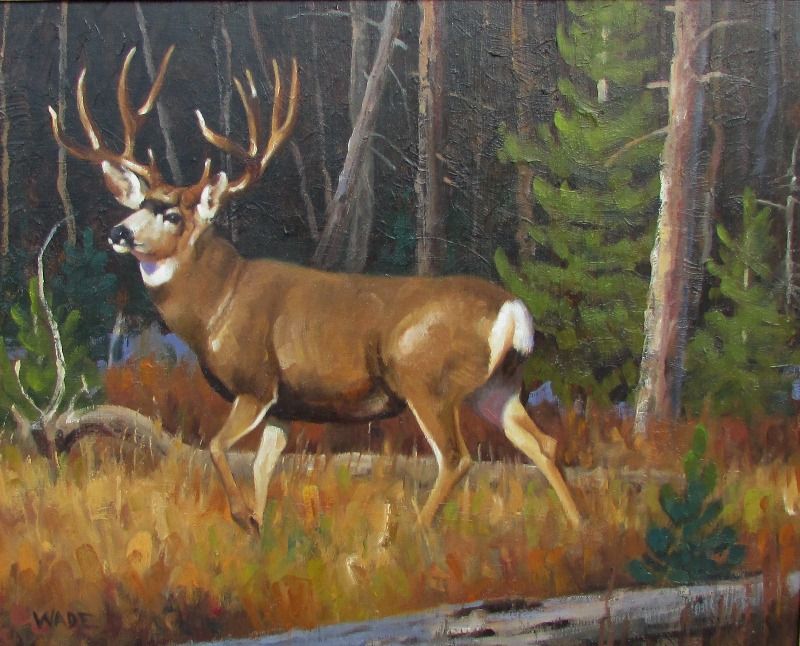 800x646 Mule Deer By Dave Wade - Mule Deer Painting