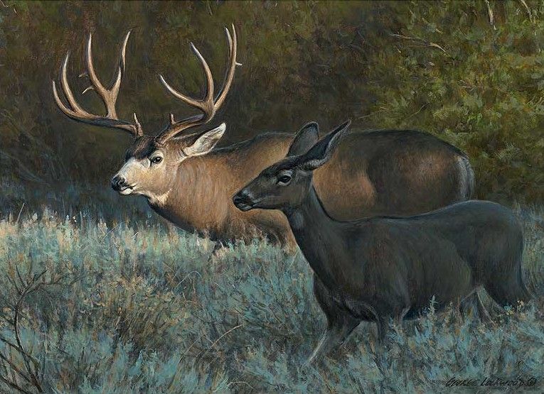 765x555 Out Of The Shadows - Mule Deer Painting