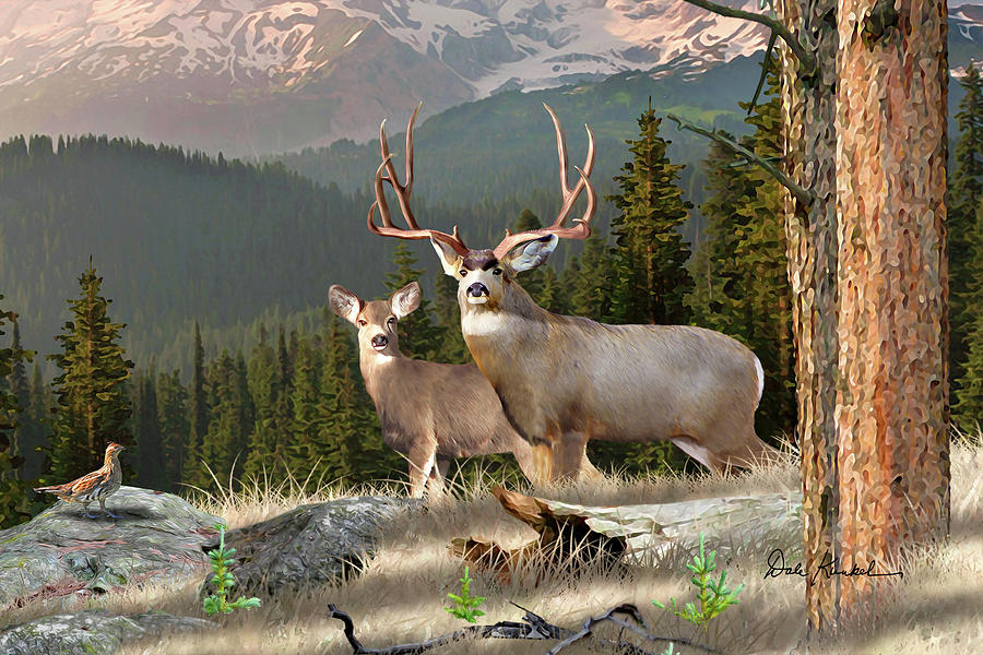 900x600 Deer Art - Mule Deer Painting