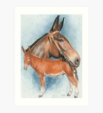 210x230 Mule Painting Amp Mixed Media Wall Art Redbubble - Mule Painting