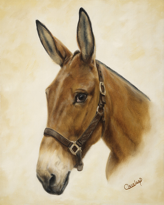560x700 Ready Mule Painting By Cathy Cleveland - Mule Painting