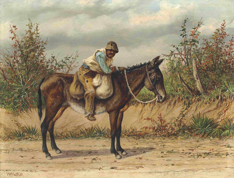 900x685 Young Boy On A Mule Painting By Motionage Designs - Mule Painting