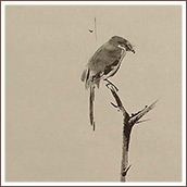 172x172 Musashi Miyamoto The Artist - Musashi Miyamoto Painting