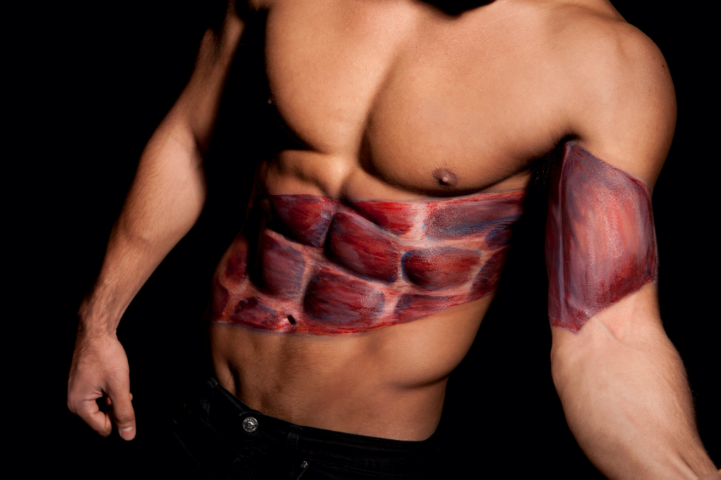 1024x682 Muscle Anatomy Torso The Male Image - Muscle Man Painting