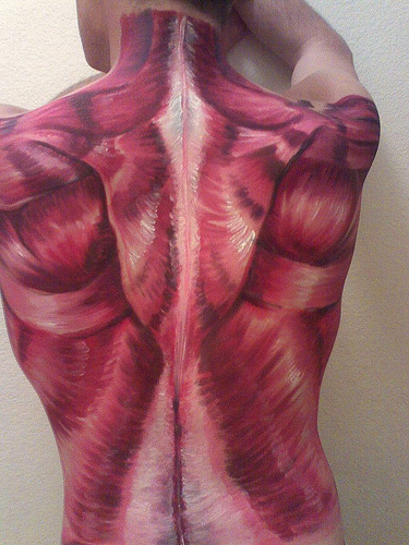 375x500 Muscles By Joitoi - Muscle Painting
