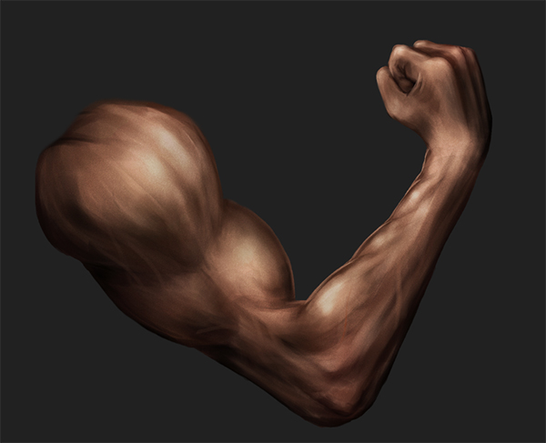 600x487 Digital Painting Lesson Paint An Arm Using Anatomy Basics Psdfan - Muscle Painting