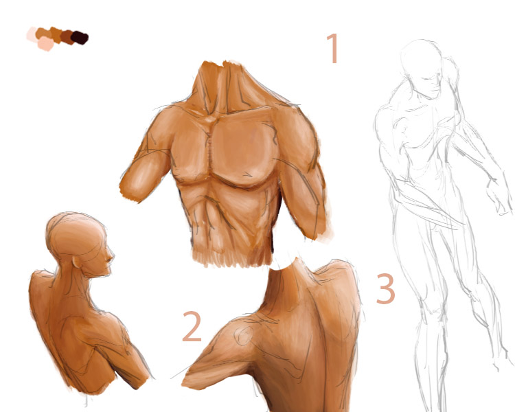 750x600 Muscle Digital Painting Practice By Rishabhs - Muscle Painting