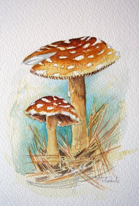 570x846 Mushrooms Painting - Mushroom Painting