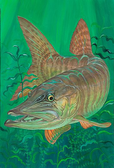 366x538 Muskie - Musky Painting